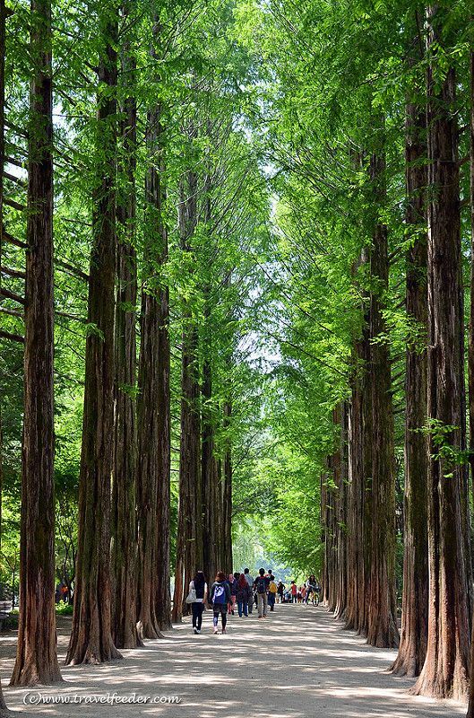 Nami Island