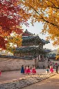 Gyeongbokgung Palace in Autumn – Seoul’s Timeless Beauty.webp